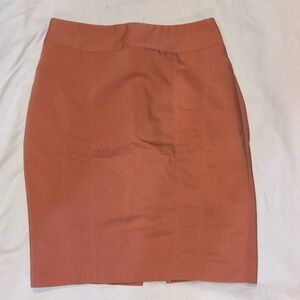 Express Pencil Skirt